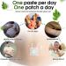 Vocjfei Bienengift Lymphdrainage Patches - Slimming & Breast Enlargement (5 Pack) - International Shipping Available - Buy Online on GoSupps.com