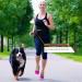 HANWELL Dog Treat Bag with Built-In Poop Bags Dispenser Puppy Pet Training Walking Pouch with Adjustable Waist Belt & Shoulder Strap Hands Free Carries for Running (Black) - Buy Online on GoSupps.com