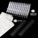 720 Pcs Nail Polish Swatch Dots - Transparent False Nail Display Tips & Adhesive Stickers for Nail Art Training and Practice - Buy Online on GoSupps.com