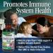 Nature's Answer Echinacea Alcohol-Free Extract - 1 Fl Oz | Natural Immune Booster & Wellness Support - Buy Online on GoSupps.com