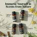Organic Essential Oil Set - 10 Pcs Premium Grade Scented Oils for Candle Making, Soap, Bath Bombs & Perfume - Fruity Scents - 10ml - Buy Online on GoSupps.com