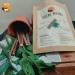 Natural Neem Chew Sticks Datun Ayurvedic Organic Toothbrush - Remove Bad Breath & Gems, Relieve Tooth Ache | Pack of 15 - Buy Online on GoSupps.com