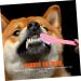 NOLITOY 20 pcs Oral Supplies for Dual-head Teeth Cleaning Pets Small Handheld Puppy Brush Pet Dog - Buy Online on GoSupps.com
