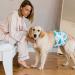 Micoooyo Washable Belly Bands for Male Dogs | Reusable Dog Diapers | Adjustable Suctionable Wrap (XSmall 3-Pack: Elephants Snails Birds) - Newborn 17.8-22.8cm Waist - Buy Online on GoSupps.com