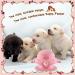 Puppy Milk Feeder Bowl 240ml with 4 Teats | Silicone Puppy Bottles for Nursing Multiple Puppies | Dog Kitten Nursing Set with Nipples - Pink - Buy Online on GoSupps.com