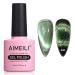 AIMEILI Magnetic Gel Nail Polish 9D Cat Magnet Eye Gel Polish Green UV LED Soak Off Glitter Gel Nail Varnish Nail Art Manicure Pedicure Long Lasting & Easy to Apply - (490) 10ml