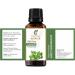 100% Pure Marjoram Oil - Essential Oil (Origanum Majorana) 15ML | Therapeutic Grade Natural & Undiluted - International Shipping Available - Buy Online on GoSupps.com