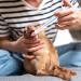 Tabletic Pine Cat Medication Feeder - Reusable Push Sprayer with Soft Tip for Easy Pill Giving to Cats & Small Pets - Buy Online on GoSupps.com