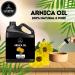 Naturevibe Botanicals Fractionated Coconut Oil 32oz Arnica Oil 32oz and Amla Oil 32oz |Oil Combo - Buy Online on GoSupps.com
