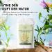 Buy Hemnockling Mullein & Houttuynia Herbal Tea - Anti-Inflammatory Detoxifying Calming Sleep Tea Gifts (20 Bags) - Buy Online on GoSupps.com