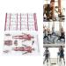 Saluaqui Fitness Workout Poster - Resistance Band Training & Muscle Anatomy for Home Gym | Effective All-Off Exercises with Clear Images - Buy Online on GoSupps.com