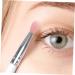 BELLIFFY 10pcs Eye Shadow Brush Makeup Brush Exfoliating Lip Brush Women Eyeshadow Brush Eyeliner - Buy Online on GoSupps.com