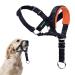 ILEPARK Dog Halver with seat belt head dishes for dogs to stop pulling adjustable and easy to control (m orange) m orange