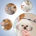 Gimars 3 in 1 Professional Dog Grooming Scissors Kit with Titanium Coated Shears & Comb Set - Buy Online on GoSupps.com