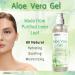 DMSOSTORE Aloe Vera Gel 128 oz (3.63kg) Alcohol-Free Made From Purified Aloe Vera Inner Leaf Soothing Skin Moisturizing Hydrating - Buy Online on GoSupps.com
