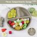 Lanjue 2 Pcs Silicone Baby Suction Plates | Non-Slip Divided Dishes for Toddler Self Feeding | Includes 2 Spoons | Fits Most Highchairs Trays - Buy Online on GoSupps.com