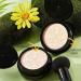 Mushroom Cushion Bb Cream Moisturizing Oil Liquid Snail Concealer R8b0 Cc Cream Brightening Foundation Ivory white(A) - Buy Online on GoSupps.com