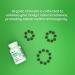 LEANFIT Organic Chlorella 500mg 60 Tablets - To Unleash Antioxidant Brilliance Take This - Defends Against Free Radical Damage - USDA Organic Certified Sugar-Free Non-GMO Gluten-Free - Buy Online on GoSupps.com