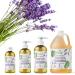 Brittanie's Thyme Organic Lavender Hand Soap - 12 oz (Pack of 3) | Castile Soap with Olive Oil & Essential Oils | Vegan & Gluten Free - Buy Online on GoSupps.com