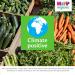 HiPP Organic 100% Baby Rice 4+ Months 160g (Pack of 4) - Buy Online on GoSupps.com