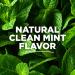 Tom's Of Maine Simply White Clean Mint Toothpaste 4.7 oz, 3-Pack - Packaging May Vary | Mint 3 Count (Pack of 1) - Buy Online on GoSupps.com