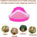 Kathson Triangular Pot Coach - Corner Rabbit & Small Animal Litter Box | Cat Toilet | Pink Plastic for Guinea Pigs Chinchillas Hamsters & Ferrets - Buy Online on GoSupps.com