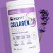 LEANFIT COLLAGEN & SLEEP Blue Lavender Latte - 7g Collagen + 200mg Magnesium + 3mg Melatonin + 10mg Ashwagandha - Improves Sleep & Reduces Effects of Jet Lag - 25 Servings 206g Tub - Buy Online on GoSupps.com