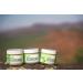 Red Leaf Recovery Balm | Herbal Skin Salve with Organic Yarrow | Soothing Healing Ointment | Yarrow & Lemongrass Essential Oil | 2 oz - Buy Online on GoSupps.com