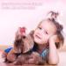 Janinka 29 Pcs Dog Hair Bows: 12 Pairs with Clips, 5 Tiara Crown Accessories | Cute Rhinestone Barrettes for Grooming - Buy Online on GoSupps.com