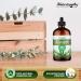 Naturopathy Eucalyptus Essential Oil Therapeutic Grade Premium Quality Perfect for Aromatherapy (4 fl oz) Eucalyptus 4 Fl Oz (Pack of 1) - Buy Online on GoSupps.com
