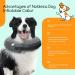 Nobleza Inflatable Dog & Cat Recovery Collar - Adjustable Surgery Protective Cone Comfortable Velcro Fastener XL Size (24.4 inch) - Ideal for Pets After Surgery & Injuries (Gray) - Buy Online on GoSupps.com