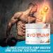 Evolabs Evo-Pump Pre Workout Booster - Instant Pump & Energy Boost | 240g Cola-Citrus Powder for Ultimate Performance - Buy Online on GoSupps.com
