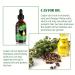 3PCS Organic Jamaican Black Castor Oil - Cold Pressed Unrefined for Hair Eyelashes & Eyebrows Growth - 100% Pure in Glass Bottles - Buy Online on GoSupps.com