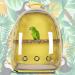 HEEPDD Pet Parrot Carrier Bird Travel Backpack Space Capsule Transparent Bag Breathable Parro Portable Breathable Bag Pet Bird Lightweight Travel Cage with Standing Perch (black) - Buy Online on GoSupps.com
