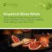 Mimea Grapefruit Whole Slices 1kg - Premium Dried Fruit for Cocktails & Garnishes - Buy Online on GoSupps.com