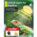 TobeBright 75W Reptile Heat Lamp Bulb with UVA UVB for Vivarium, Bearded Dragon, Lizard - Dimmable E27 PAR30 Tortoise Heat Lamp - Buy Online on GoSupps.com