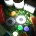 KINGTOP LED Golf Hole Lights - Night Golf Putt-Putt Flag Cup Glow Lamp - Backyard Putting Green - Cool White - 2 Pack - Buy Online on GoSupps.com