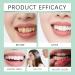 Gentle Herbal Mint Toothpaste - Daily Oral Clean Teeth Brightening Gum Care & Long-Lasting Fresh Breath(1PCS) 1 Fl Oz (Pack of 1) - Buy Online on GoSupps.com