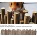 Zerodis 30cm Hamster Wooden Bridge & Chew Toy - Flexible Hide Climbing Platform & Cage Accessories for Mice Chinchillas & Small Pets - Buy Online on GoSupps.com