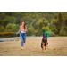 Vet's Advantage Pure MSM Powder for Dogs - Rapid Effect Joint Support to Help Improve Your Dog's Mobility and Comfort - Buy Online on GoSupps.com