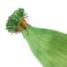 High-Quality Keratin Bonding Hair Extensions - Green - 60cm - 200 Strands - 100% Real Hair U-Tip by Novon - Buy Online on GoSupps.com