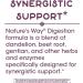 Nature's Way Digestion with Enzymes - 100 Capsules for Optimal Digestive Health - Buy Online on GoSupps.com