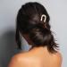 Sleek Chignon French Hair Pin - The Hair Edit | Shop Now - Buy Online on GoSupps.com