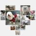 Dog Wheelchair Dog Wheelchair for Back Legs to Help Pets Regain Walking Ability Pet Wheelchair Lightweight 2 Wheels Dog Wheelchair Portable Medium - Buy Online on GoSupps.com