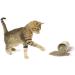 Cat Crack Catnip Premium Blend - Maximum Potency Infused Safe for Cats - Irresistible 1 Cup for Your Kitty - Buy Online on GoSupps.com