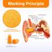 Buy 200Pcs Soft Foam Ear Plugs - Noise Cancelling Slow Rebound Disposable for Sleeping Snoring Shooting Study & Travel (Orange) - International Shipping Available - Buy Online on GoSupps.com