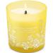 Coconut Mandarin Vanilla Candles Highly Scented - Tropical Beach Summer Scented Candles for Home - Luxury Candles - Natural Soy Wood Wick Candles - Aromatherapy Relaxing Candles for Women & Men