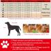Oncpcare Warm Dog Coat with Dishes for Small Dogs & Cats - Winter Pet Jacket Size M Black - Buy Online on GoSupps.com