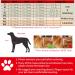 Warm Dog Winter Coat - Padded Jacket for Small Dogs & Cats | Outdoor Cold Weather Apparel in Size L Red - Buy Online on GoSupps.com