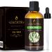 Tea Tree Essential Oil, Pure and Natural Tea Tree Oil,Perfect for Cleansing Breakouts,Dandruff and Dirt - Use in Diffuser or on Skin & Hair